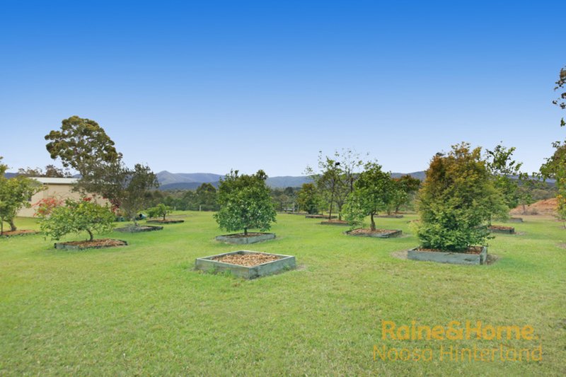 Photo - 32 Hoskins Road, Tandur QLD 4570 - Image 13