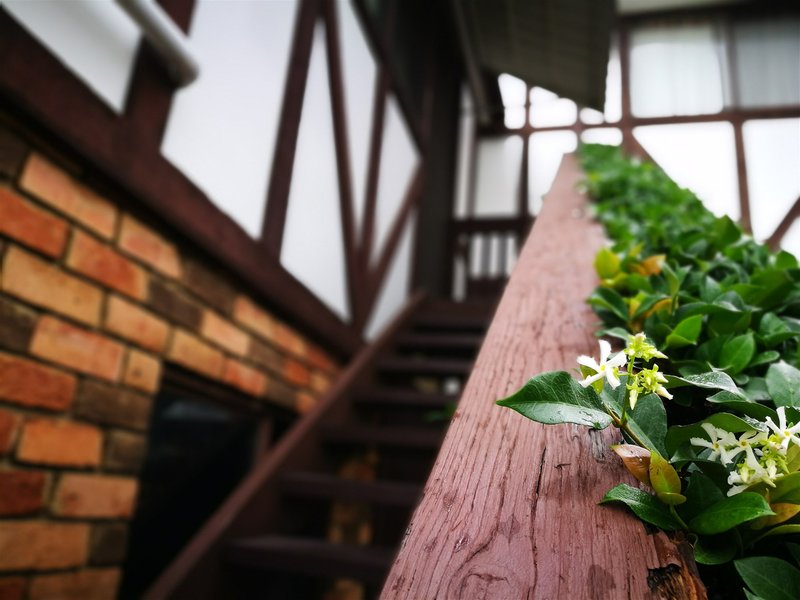 Photo - 32 Kibo Road, Regents Park NSW 2143 - Image 11