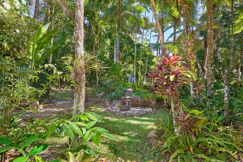 Photo - 32 Kuranda Crescent, Kuranda QLD 4881 - Image 17