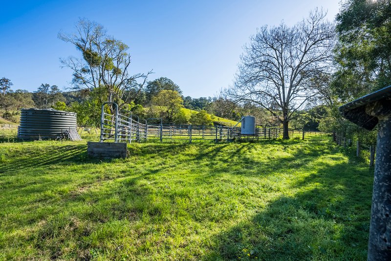 Photo - 32 Longbottoms Road, Chichester Via , Dungog NSW 2420 - Image 25