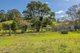 Photo - 32 Longbottoms Road, Chichester Via , Dungog NSW 2420 - Image 26