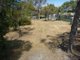 Photo - 32 (Lot 70) Ti-Tree Road, The Pines SA 5577 - Image 4