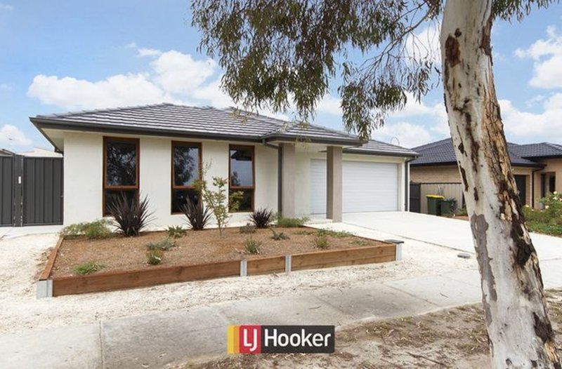 Photo - 32 Macfarlane Burnett Avenue, Macgregor ACT 2615 - Image 17