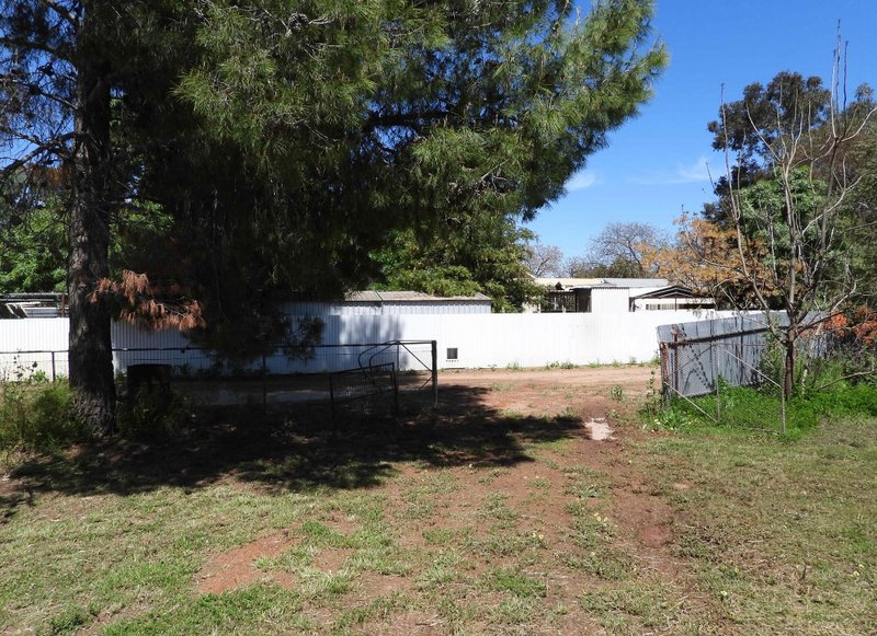 Photo - 32 Mallee Street, Barellan NSW 2665 - Image 12