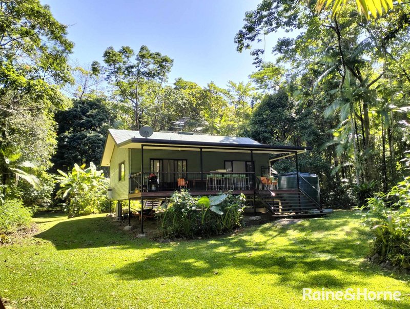 Photo - 32 Nicole Drive, Cape Tribulation , Daintree QLD 4873 - Image 1