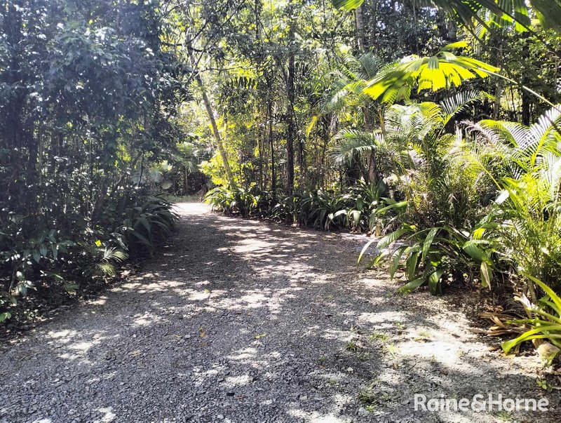 Photo - 32 Nicole Drive, Cape Tribulation , Daintree QLD 4873 - Image 5