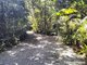 Photo - 32 Nicole Drive, Cape Tribulation , Daintree QLD 4873 - Image 5