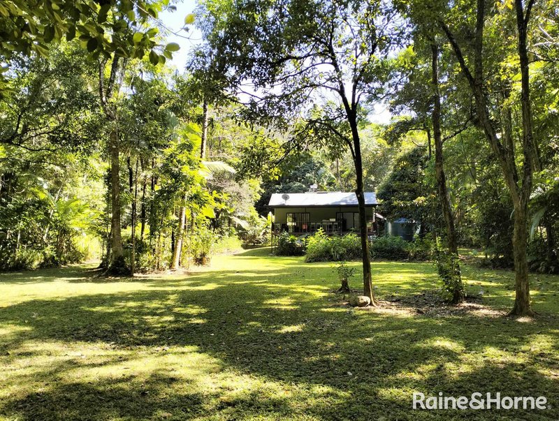 Photo - 32 Nicole Drive, Cape Tribulation , Daintree QLD 4873 - Image 6