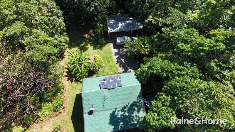 Photo - 32 Nicole Drive, Cape Tribulation , Daintree QLD 4873 - Image 21