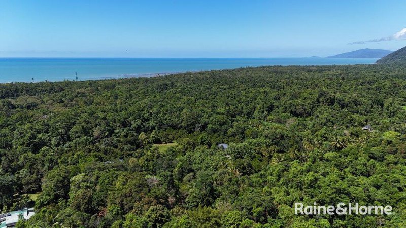 Photo - 32 Nicole Drive, Cape Tribulation , Daintree QLD 4873 - Image 22