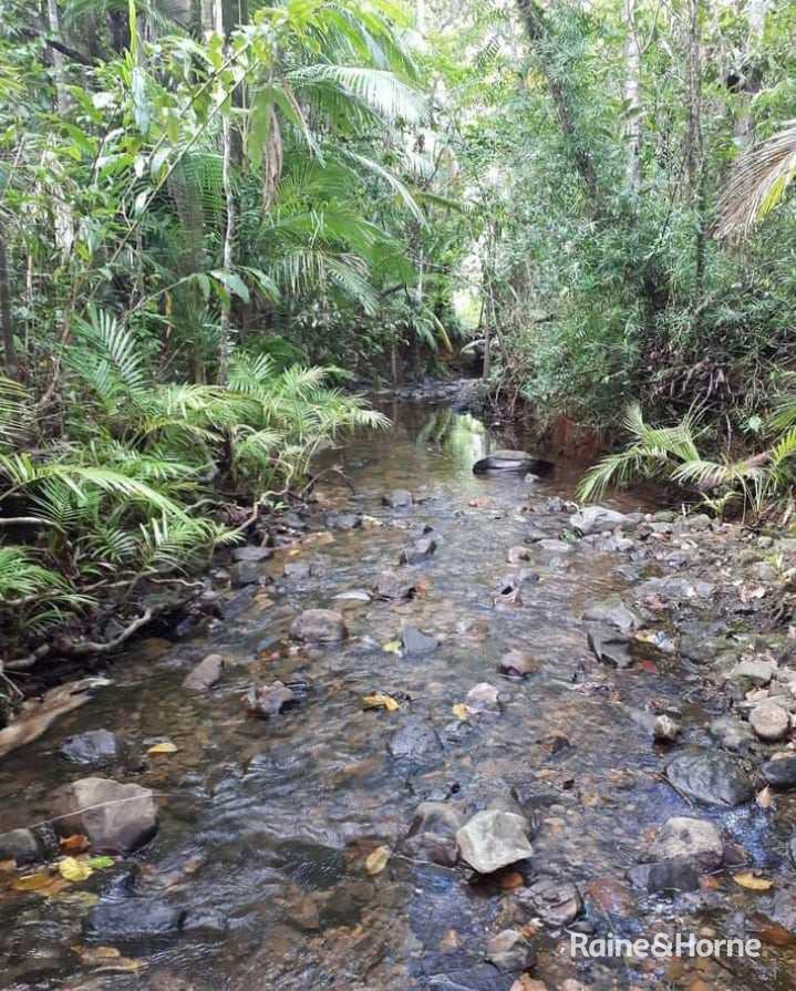 Photo - 32 Nicole Drive, Cape Tribulation , Daintree QLD 4873 - Image 26