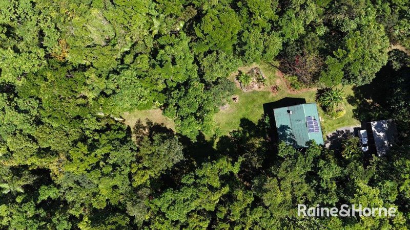 Photo - 32 Nicole Drive, Cape Tribulation , Daintree QLD 4873 - Image 28