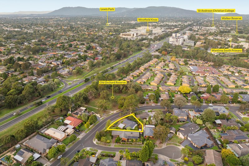 Photo - 32 Old Orchard Drive, Wantirna South VIC 3152 - Image 17