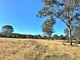 Photo - 32 Parker Road, Ellesmere QLD 4610 - Image 20