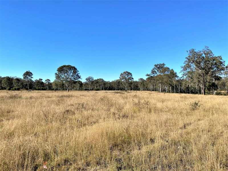 Photo - 32 Parker Road, Ellesmere QLD 4610 - Image 21