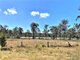 Photo - 32 Parker Road, Ellesmere QLD 4610 - Image 25