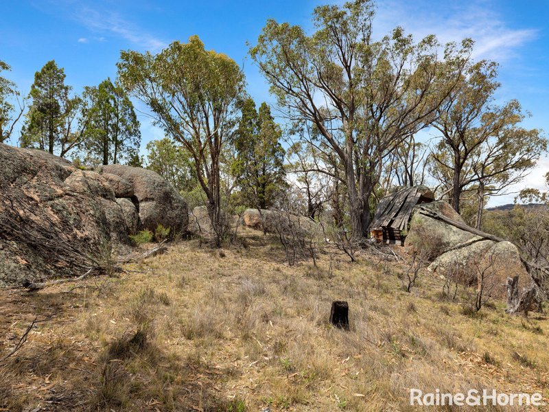 Photo - 32 Pine Ridge Road, Rock Forest NSW 2795 - Image 13