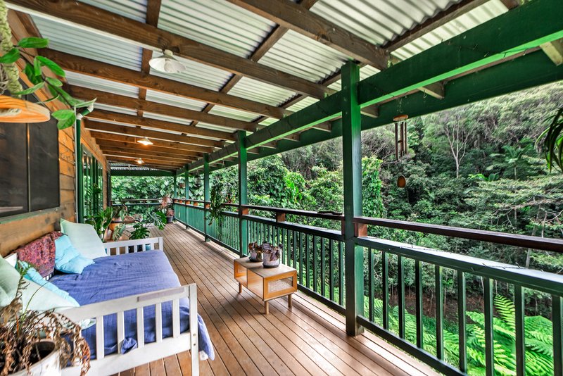 Photo - 32 Silkwood Avenue, Kuranda QLD 4881 - Image 11