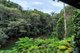 Photo - 32 Silkwood Avenue, Kuranda QLD 4881 - Image 12