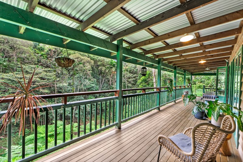 Photo - 32 Silkwood Avenue, Kuranda QLD 4881 - Image 15