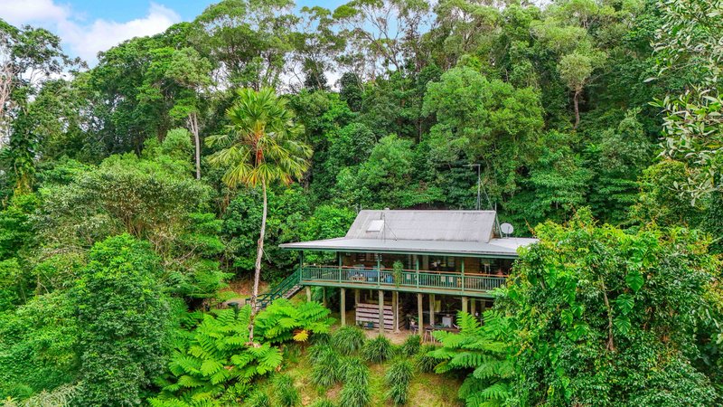 Photo - 32 Silkwood Avenue, Kuranda QLD 4881 - Image 17