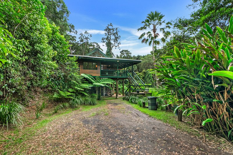 Photo - 32 Silkwood Avenue, Kuranda QLD 4881 - Image 19