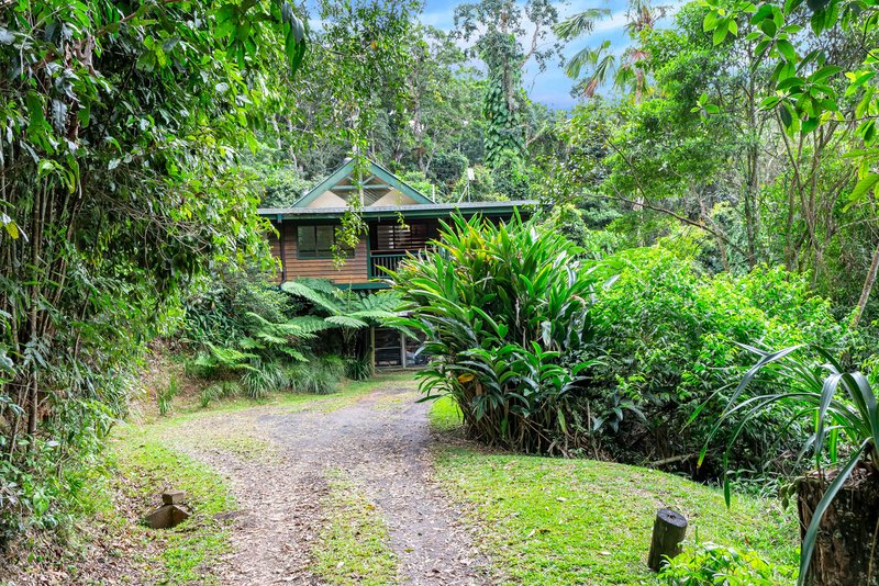 Photo - 32 Silkwood Avenue, Kuranda QLD 4881 - Image 21