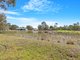 Photo - 32 Tableland Road, Sunshine Acres QLD 4655 - Image 31