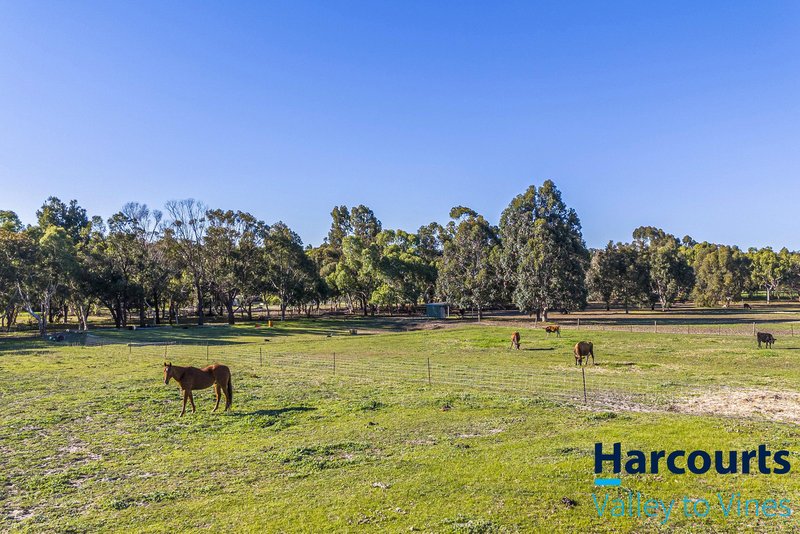 Photo - 32 Texon Ridge, Lower Chittering WA 6084 - Image 24