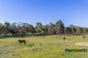 Photo - 32 Texon Ridge, Lower Chittering WA 6084 - Image 25