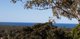 Photo - 32 Tongarra Drive, Ocean Shores NSW 2483 - Image 3