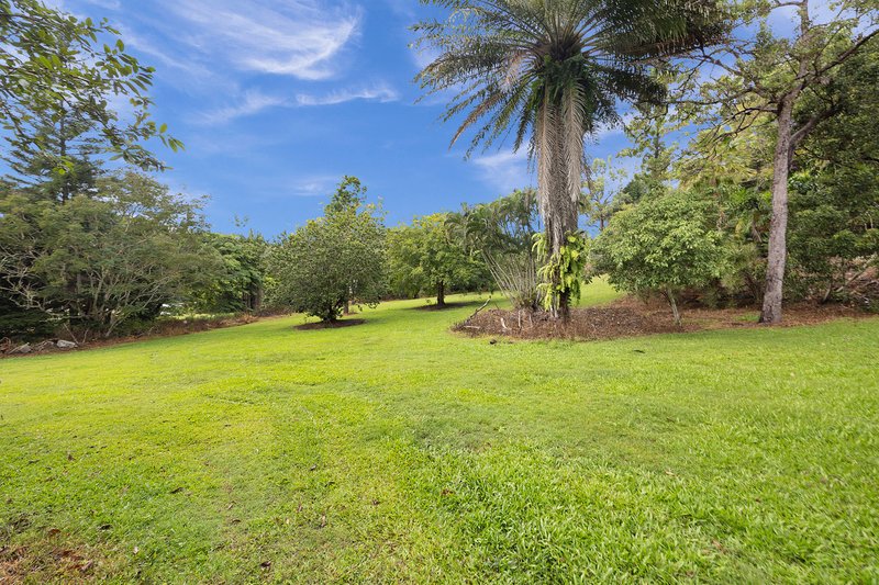 Photo - 32 Yakapari-Seaforth Road, The Leap QLD 4740 - Image 30