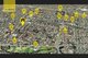 Photo - 3/20 Hampden Road, Lakemba NSW 2195 - Image 6