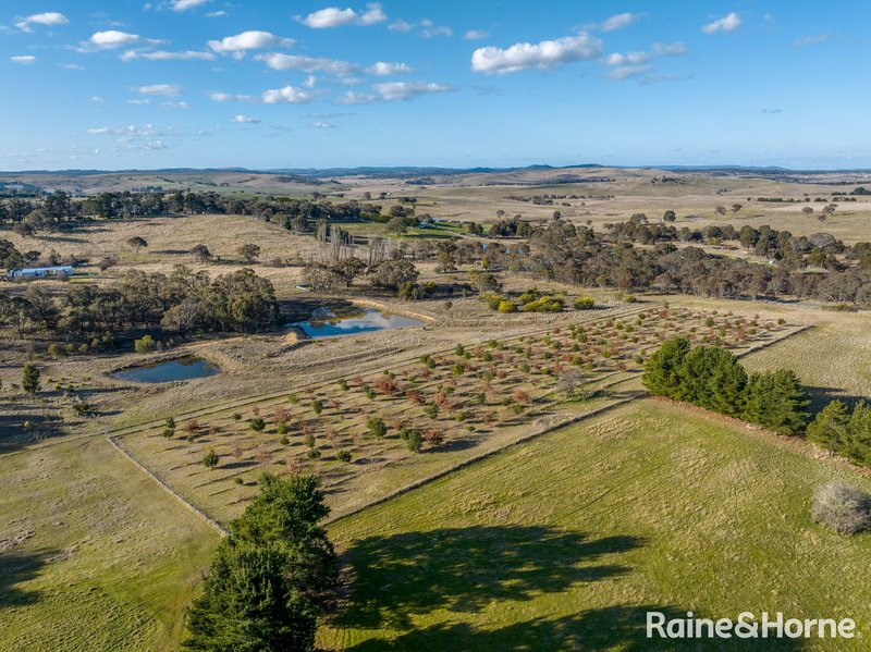 Photo - 320 Merilla Lane Parkesbourne Via , Goulburn NSW 2580 - Image 32