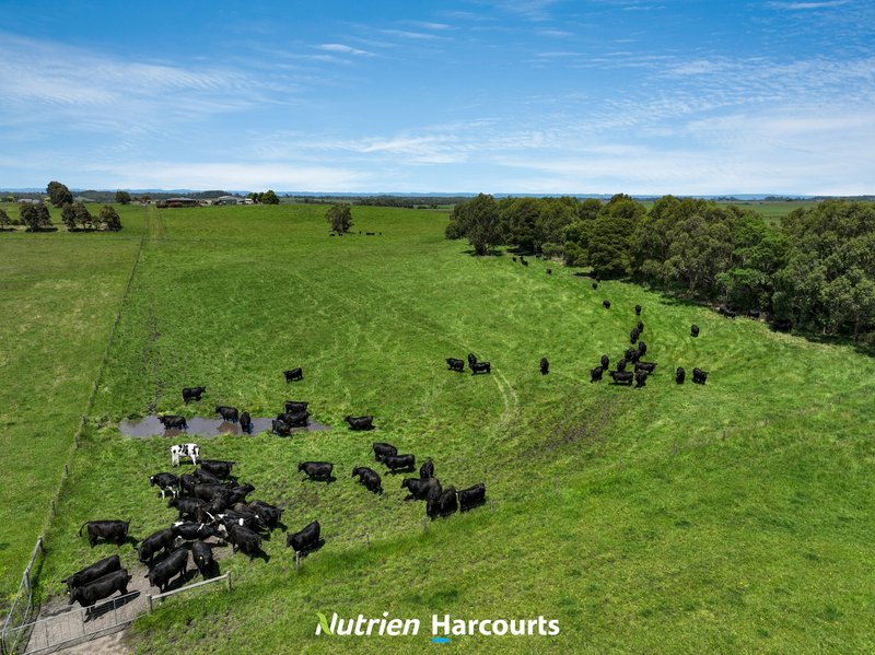 Photo - 320 Outtrim-Inverloch Road, Outtrim VIC 3951 - Image 29