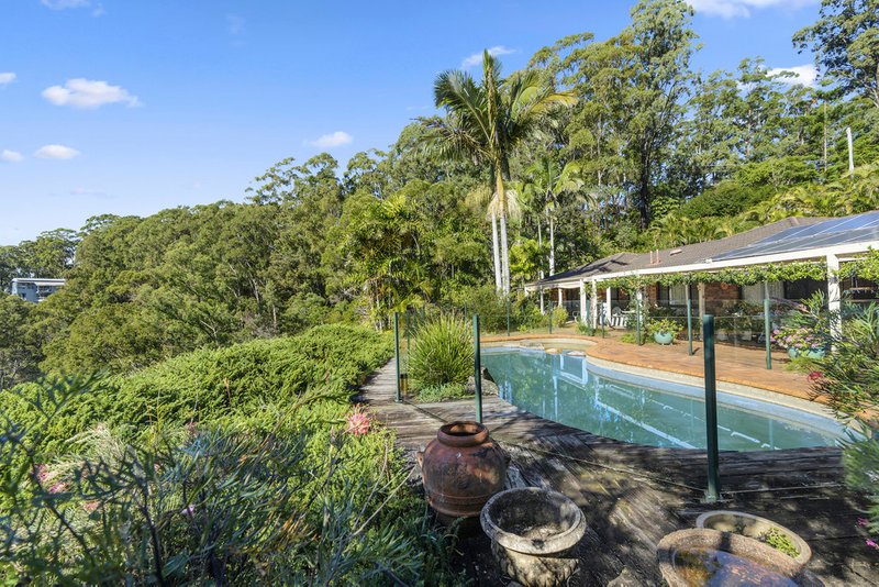 Photo - 320 Piggabeen Road, Currumbin Valley QLD 4223 - Image 3