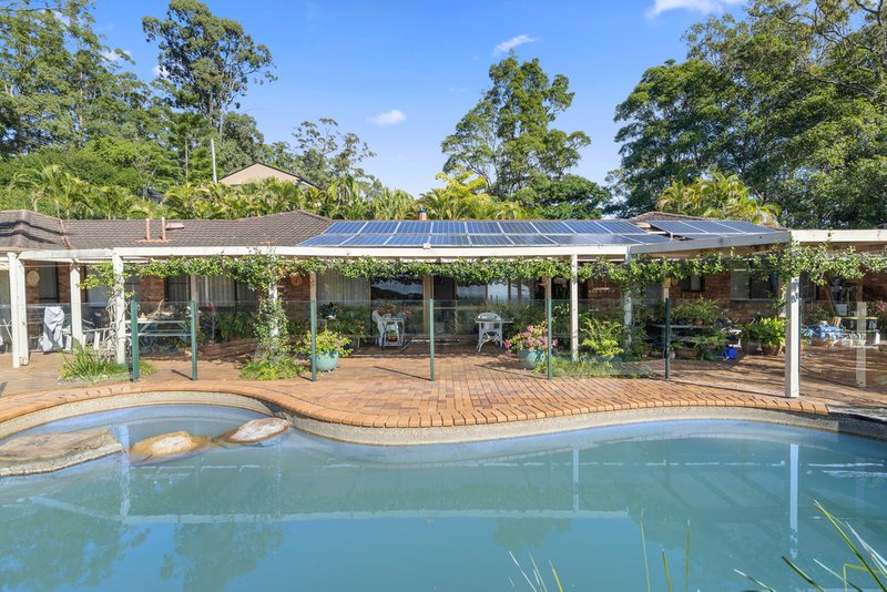 Photo - 320 Piggabeen Road, Currumbin Valley QLD 4223 - Image 9