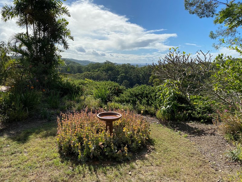 Photo - 320 Piggabeen Road, Currumbin Valley QLD 4223 - Image 15