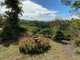 Photo - 320 Piggabeen Road, Currumbin Valley QLD 4223 - Image 15