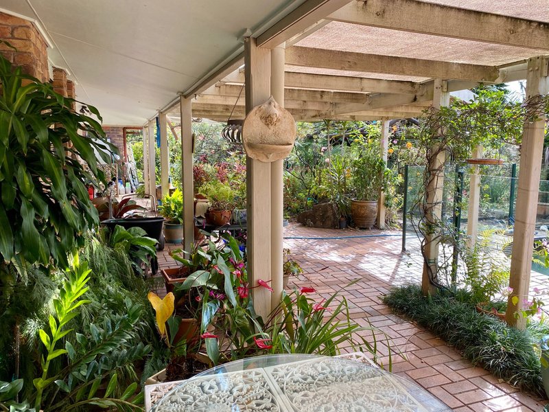 Photo - 320 Piggabeen Road, Currumbin Valley QLD 4223 - Image 20