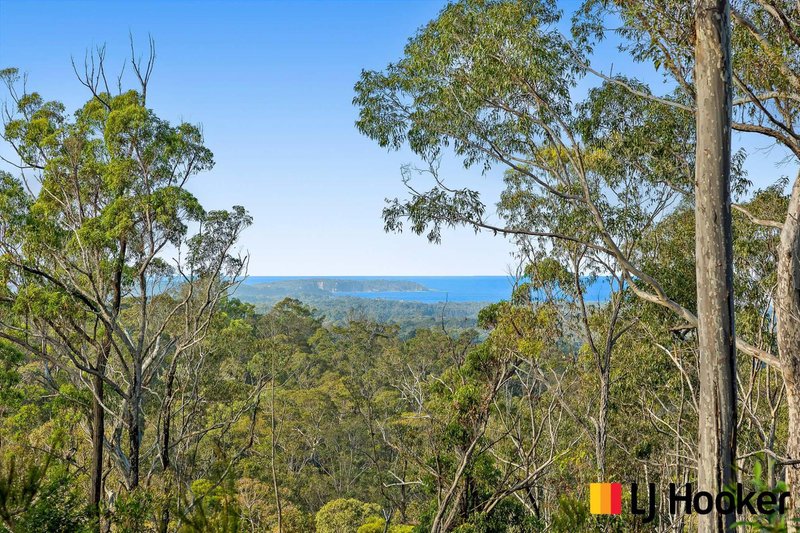 Photo - 320 Pollwombra Road, Moruya NSW 2537 - Image 3