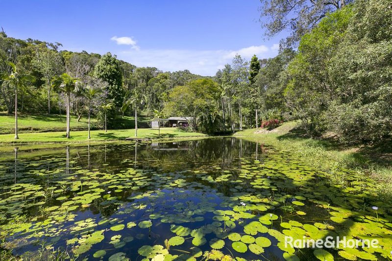 Photo - 320 Schreibers Road, Cooran QLD 4569 - Image 3