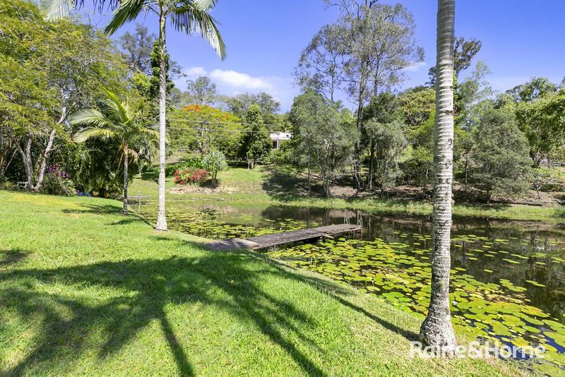 Photo - 320 Schreibers Road, Cooran QLD 4569 - Image 13