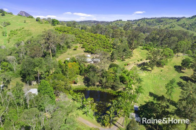 Photo - 320 Schreibers Road, Cooran QLD 4569 - Image 16