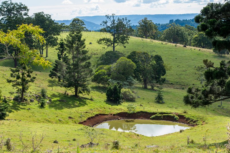 Photo - 320 Tabletop Road, Canungra QLD 4275 - Image 3