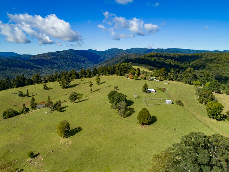 Photo - 320 Tabletop Road, Canungra QLD 4275 - Image 4