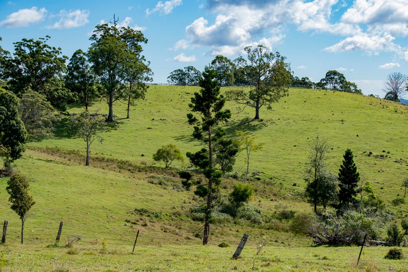 Photo - 320 Tabletop Road, Canungra QLD 4275 - Image 5