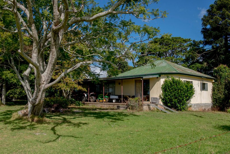 Photo - 320 Tabletop Road, Canungra QLD 4275 - Image 10