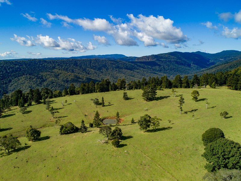 Photo - 320 Tabletop Road, Canungra QLD 4275 - Image 15