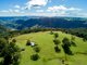 Photo - 320 Tabletop Road, Canungra QLD 4275 - Image 16